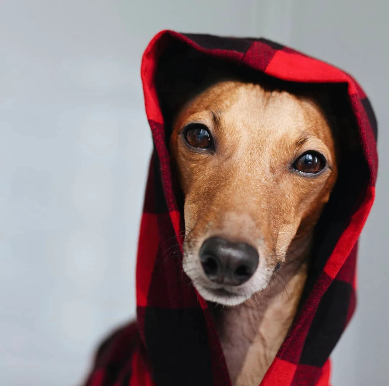 SHARPER BARKER LIGHT-WEIGHT FLEECE HOODIES : RED PLAID