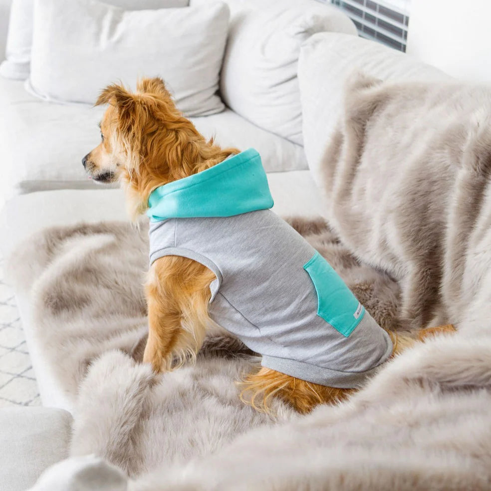 SHARPER BARKER FLEECE HOODIES COLOR BLOCK : SKYE