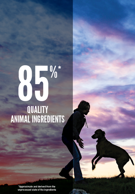 ORIJEN PUPPY LARGE BREED DRY FOOD