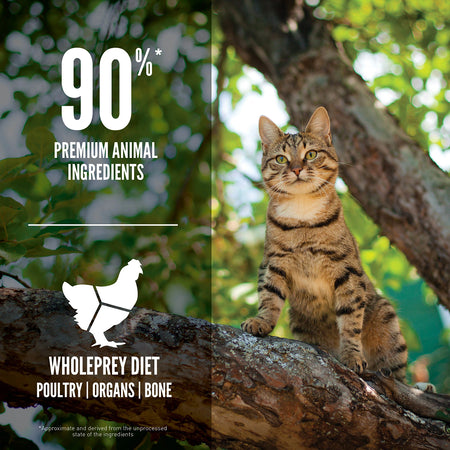 ORIJEN GUARDIAN 8 DRY CAT FOOD
