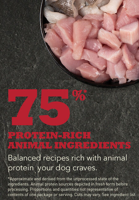 ACANA SPORT & AGILITY RECIPE DRY FOOD