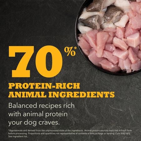ACANA PUPPY RECIPE DRY FOOD