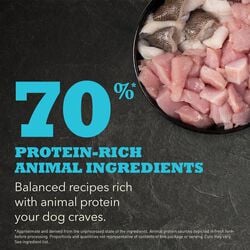ACANA PUPPY SMALL BREED RECIPE DRY FOOD