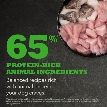 ACANA SENIOR RECIPE DRY FOOD