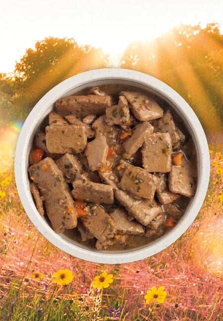 ACANA PREMIUM CHUNKS BEEF RECIPE IN BONE BROTH