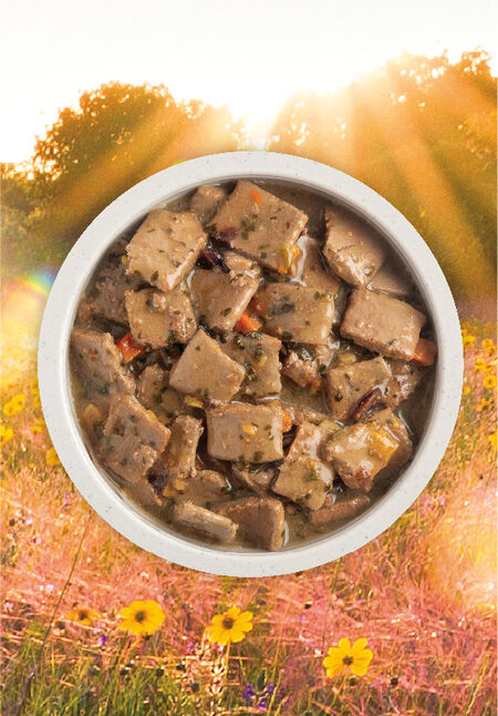 ACANA PREMIUM CHUNKS DUCK RECIPE IN BONE BROTH