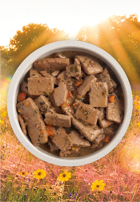 ACANA PREMIUM CHUNKS LAMB RECIPE IN BONE BROTH