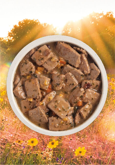 ACANA PREMIUM CHUNKS PORK RECIPE IN BONE BROTH