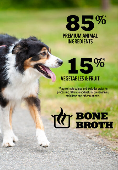 ACANA PREMIUM CHUNKS PORK RECIPE IN BONE BROTH