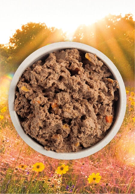 ACANA PREMIUM PATE PUPPY RECIPE IN BONE BROTH