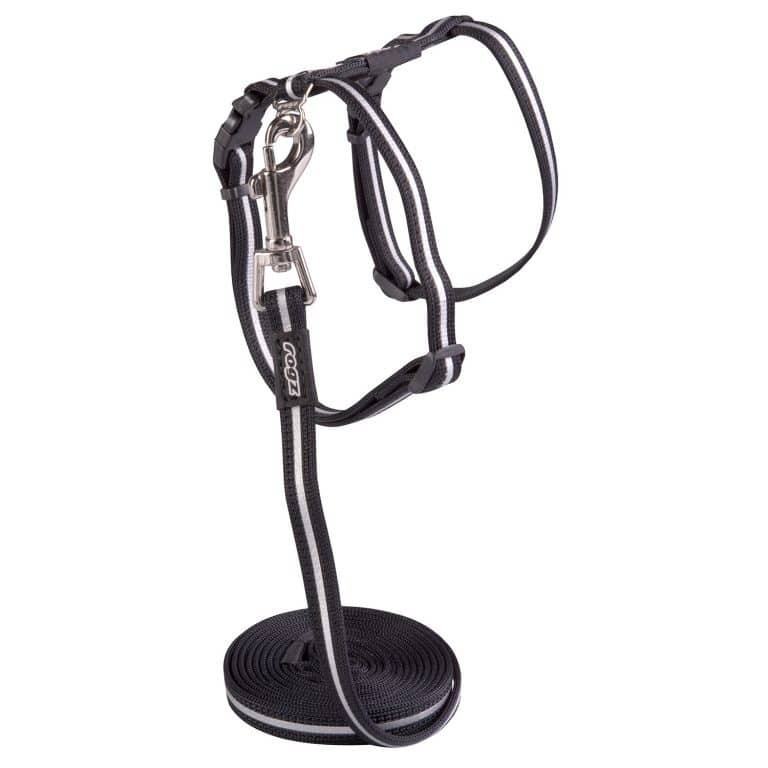 ROGZ ALLEY CAT CLASSIC HARNESS & LEAD SET