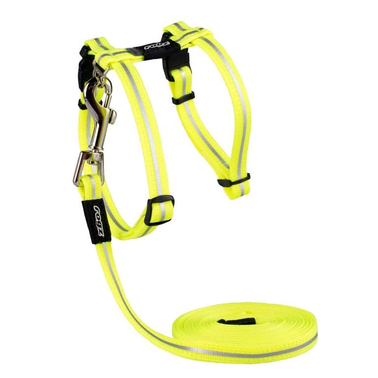 ROGZ ALLEY CAT CLASSIC HARNESS & LEAD SET