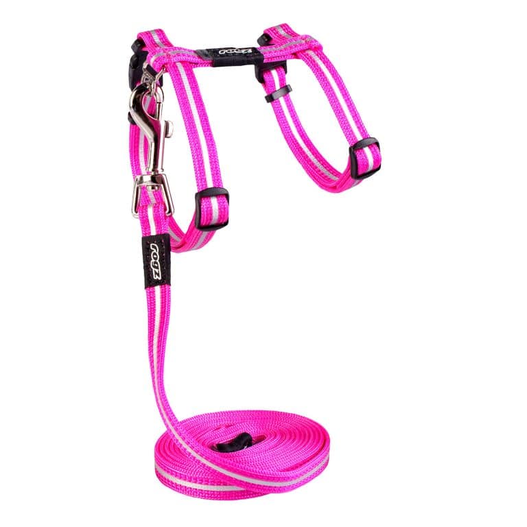 ROGZ ALLEY CAT CLASSIC HARNESS & LEAD SET