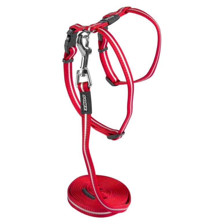 ROGZ ALLEY CAT CLASSIC HARNESS & LEAD SET