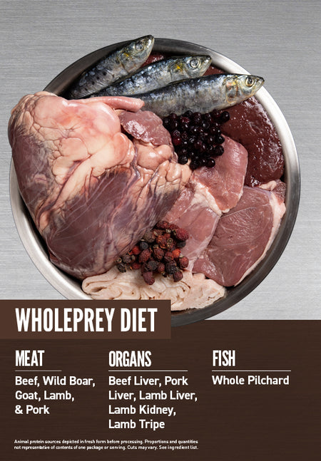 ORIJEN REGIONAL RED CAT DRY FOOD