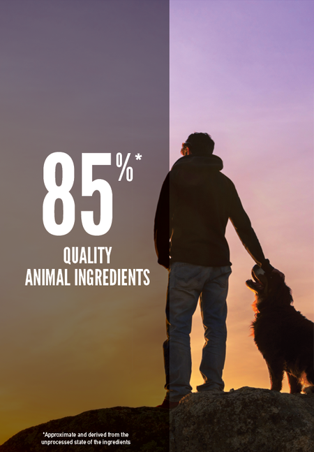 ORIJEN REGIONAL RED DOG DRY FOOD