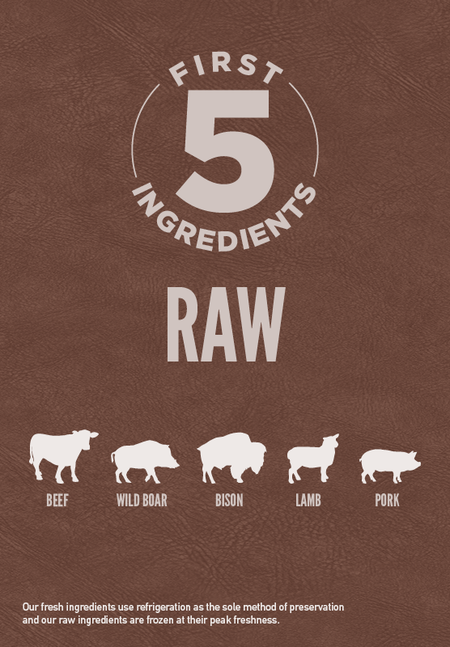 ORIJEN REGIONAL RED DOG DRY FOOD