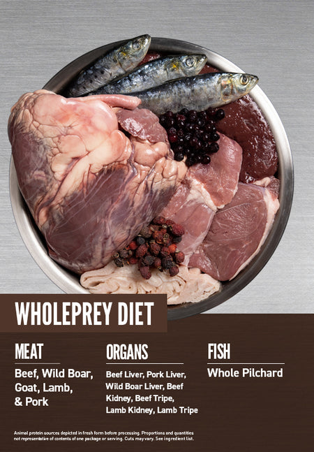 ORIJEN REGIONAL RED DOG DRY FOOD