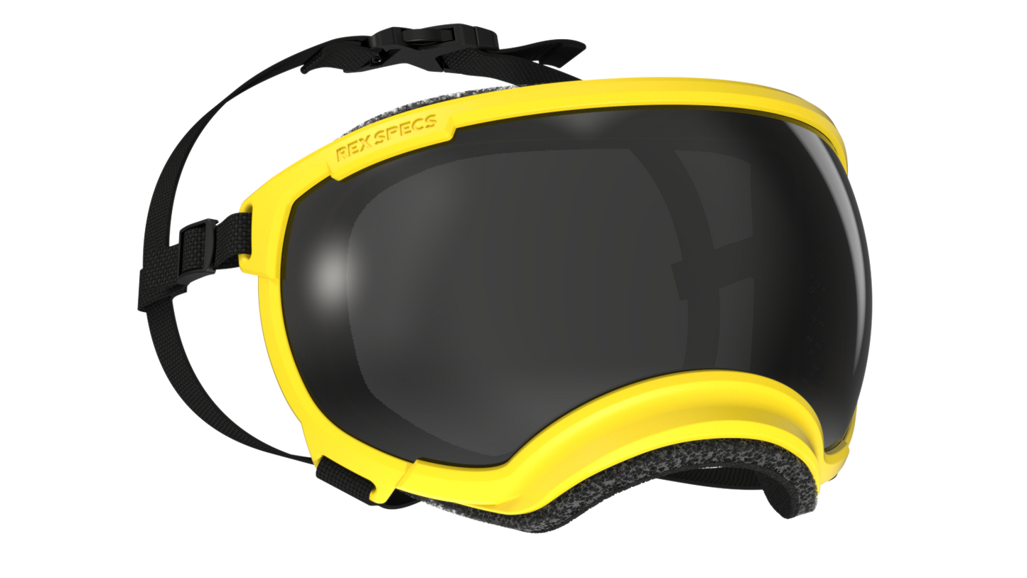 REX SPECS GOGGLES FOR DOGS - V2