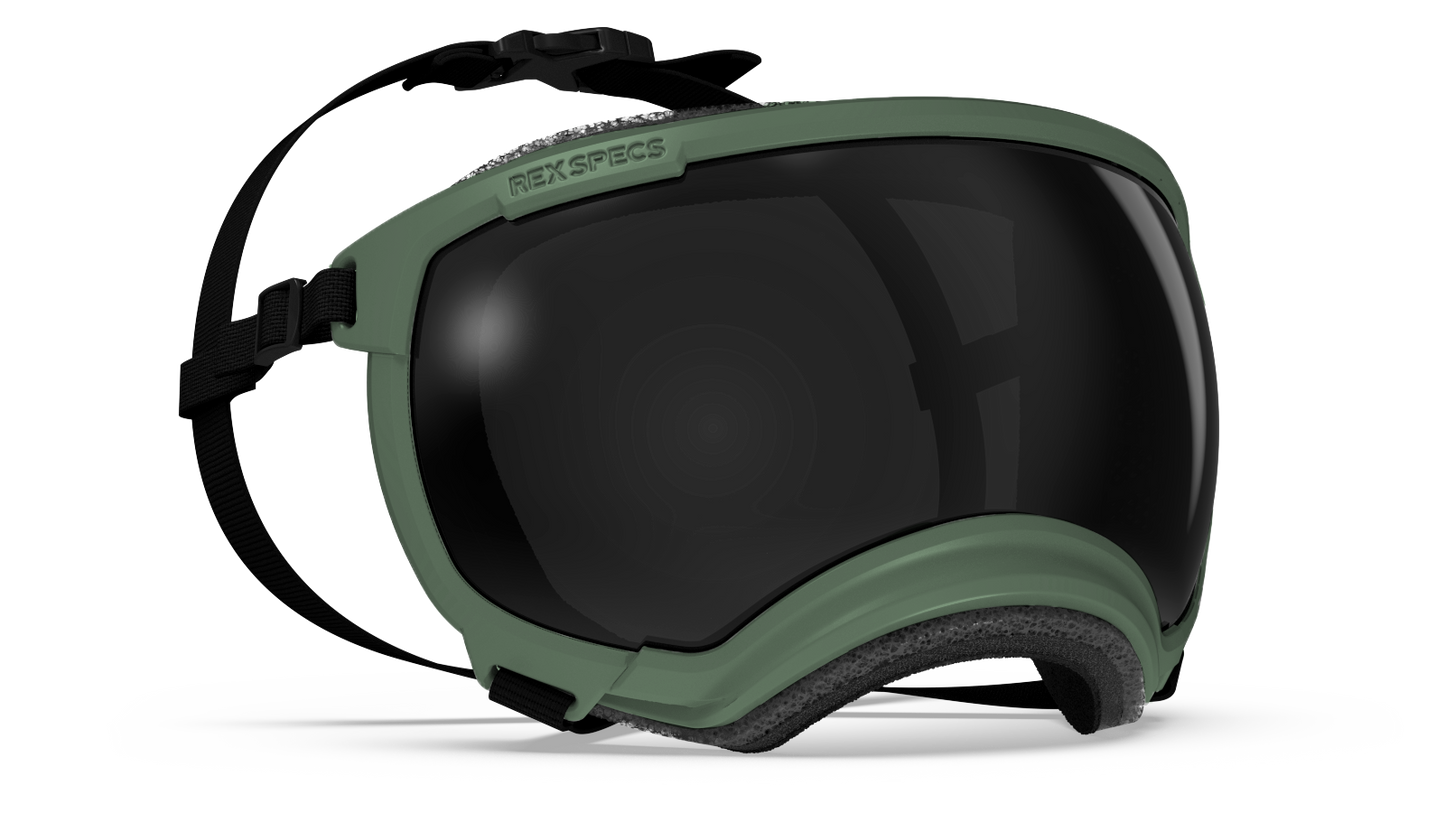 REX SPECS GOGGLES FOR DOGS - V2