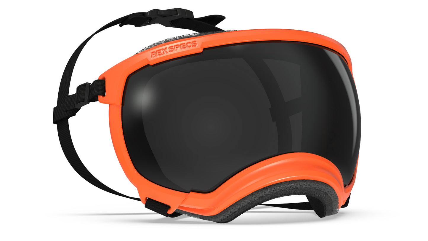 REX SPECS GOGGLES FOR DOGS - V2