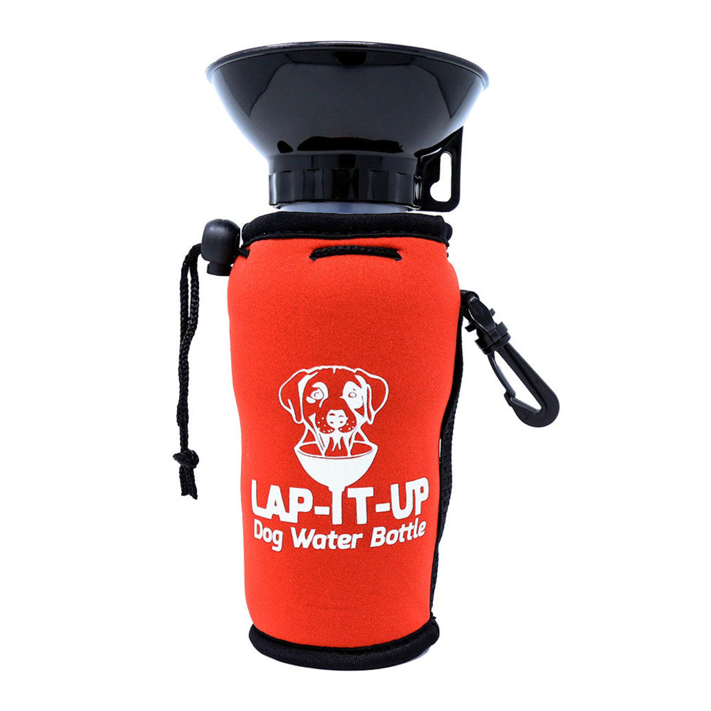 LAP-IT-UP™ DOG WATER BOTTLE ASSORTED 20 oz