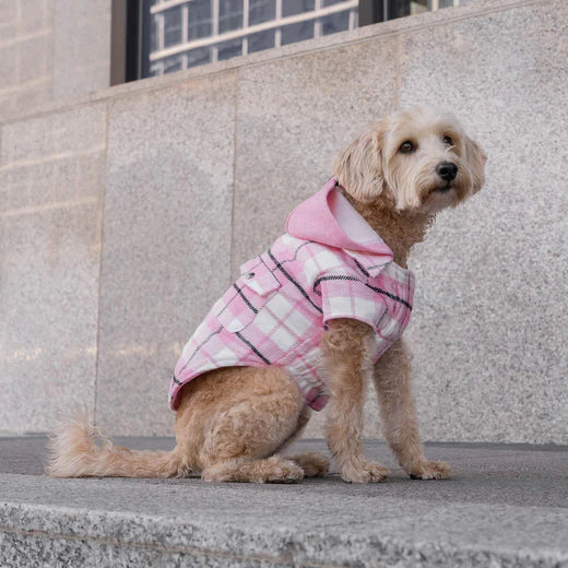 CANADA POOCH SHAKET
