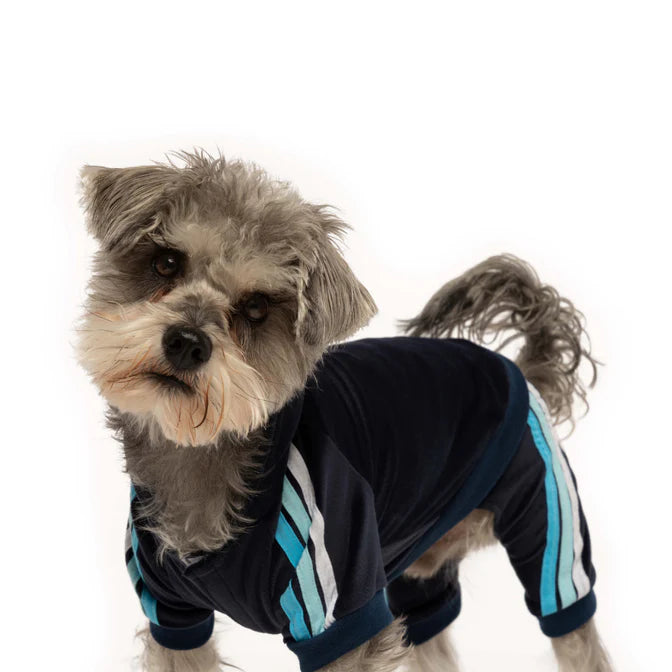 FAB DOG VELOUR JOGGER : NAVY