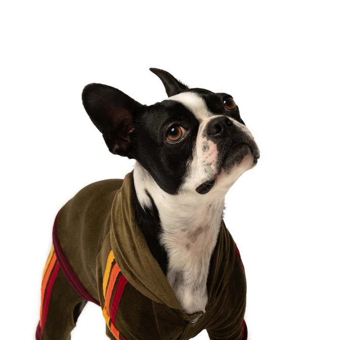 FAB DOG VELOUR JOGGER : OLIVE