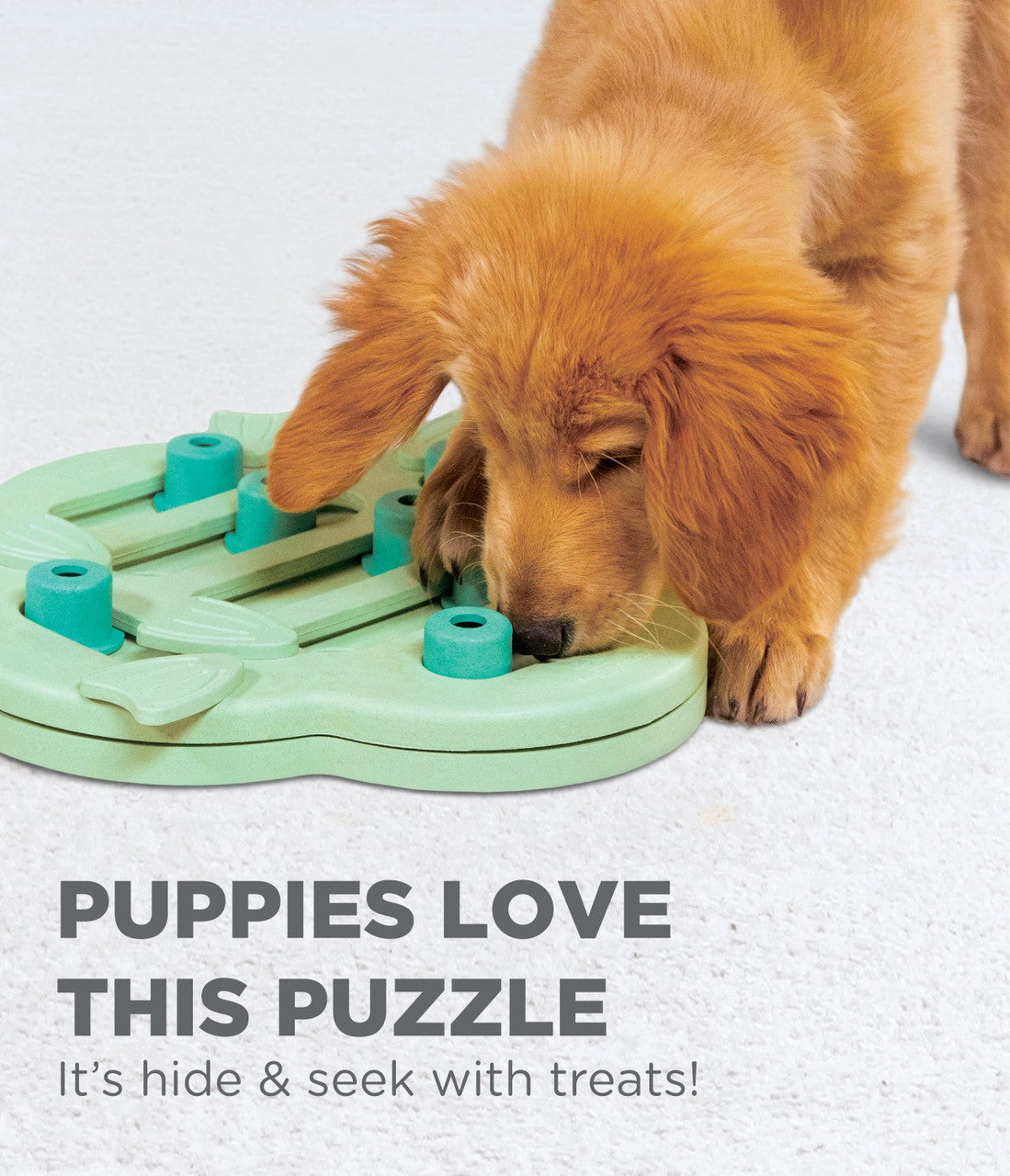 NINA OTTOSSON HIDE N' SLIDE PUZZLE DOG TOY