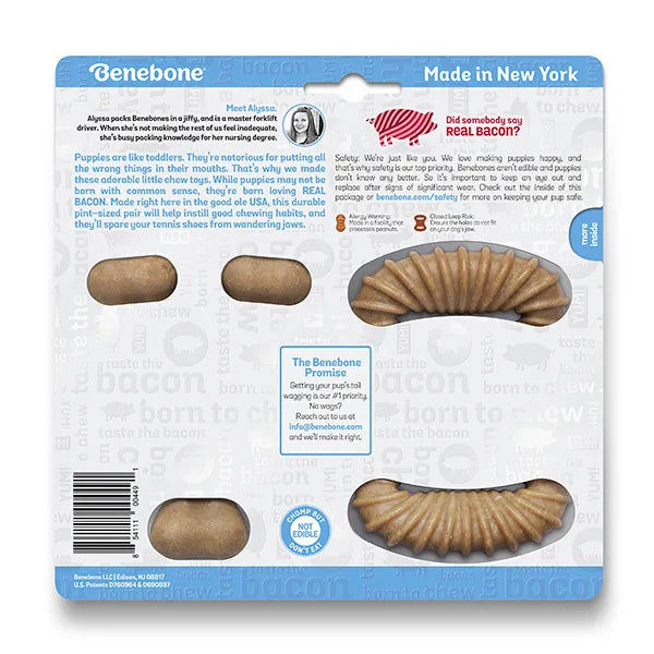 BENEBONE PUPPY DENTAL CHEW & WISHBONE BACON 2pk