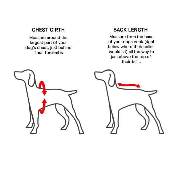 CANADA POOCH SHAKET
