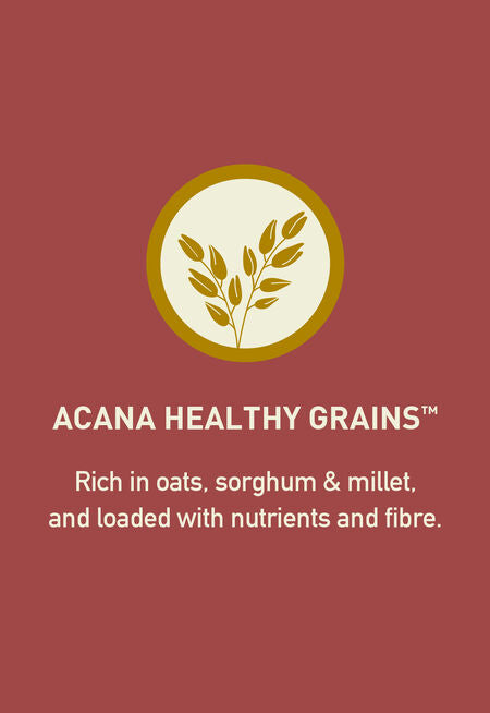 ACANA HEALTHY GRAINS LARGE BREED RECIPE DRY FOOD