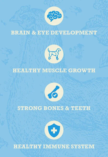 ACANA HEALTHY GRAINS PUPPY RECIPE DRY FOOD