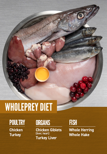 ORIJEN PUPPY DRY FOOD