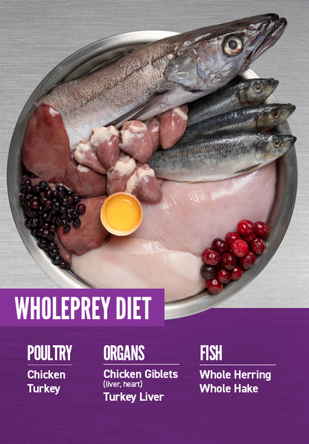 ORIJEN PUPPY LARGE BREED DRY FOOD