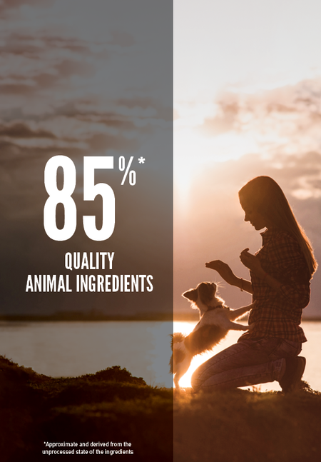 ORIJEN SMALL BREED DOG DRY FOOD