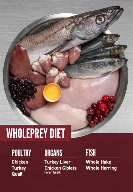 ORIJEN SMALL BREED DOG DRY FOOD