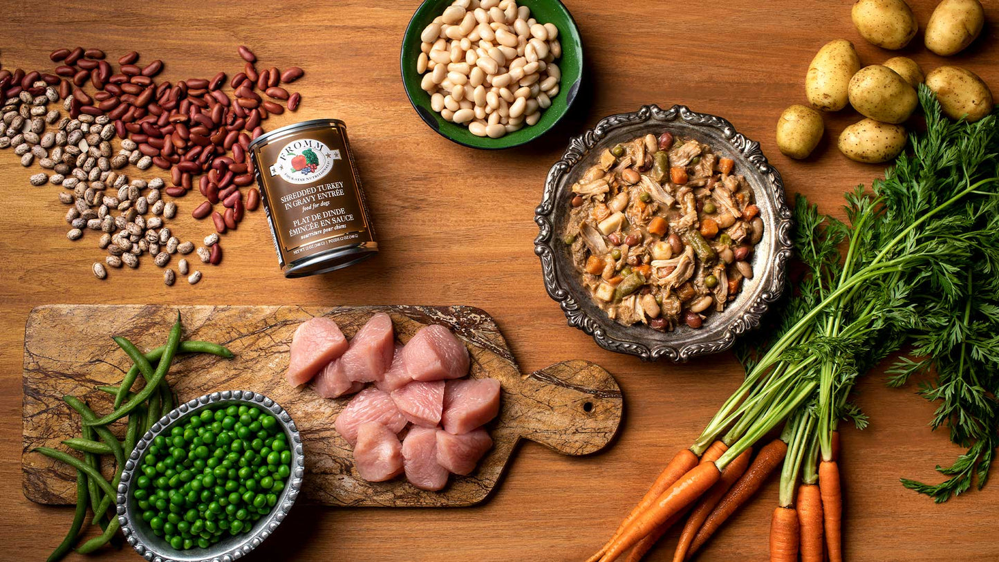 FROMM FOUR STAR SHREDDED TURKEY IN GRAVY ENTRÉE DOG FOOD