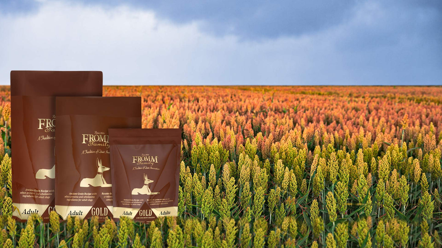 FROMM ADULT GOLD WITH ANCIENT GRAINS DOG FOOD