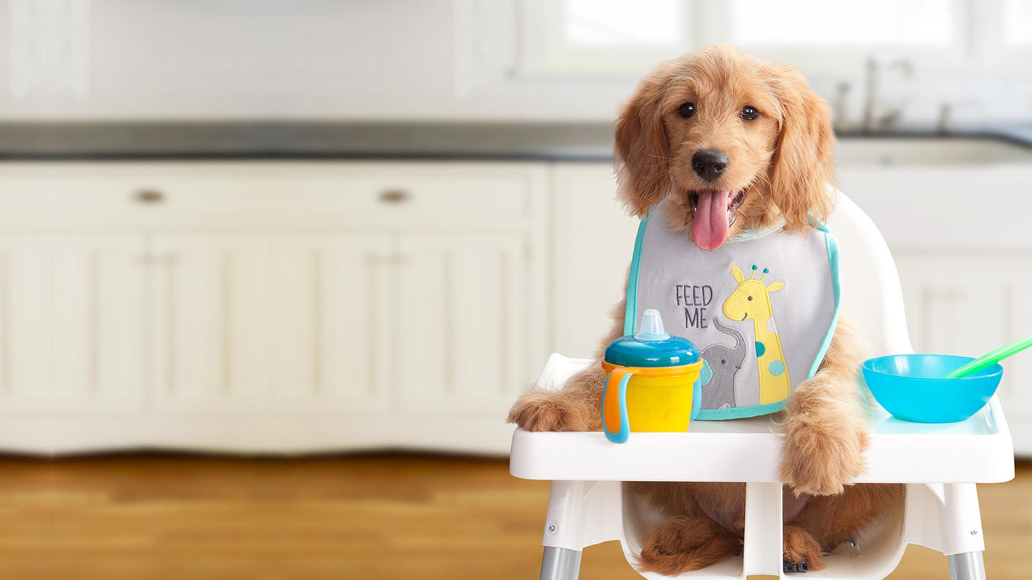 FROMM LARGE BREED PUPPY GOLD DOG FOOD
