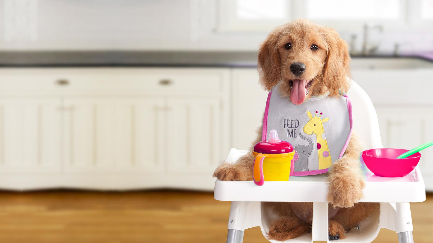 FROMM PUPPY GOLD DOG FOOD
