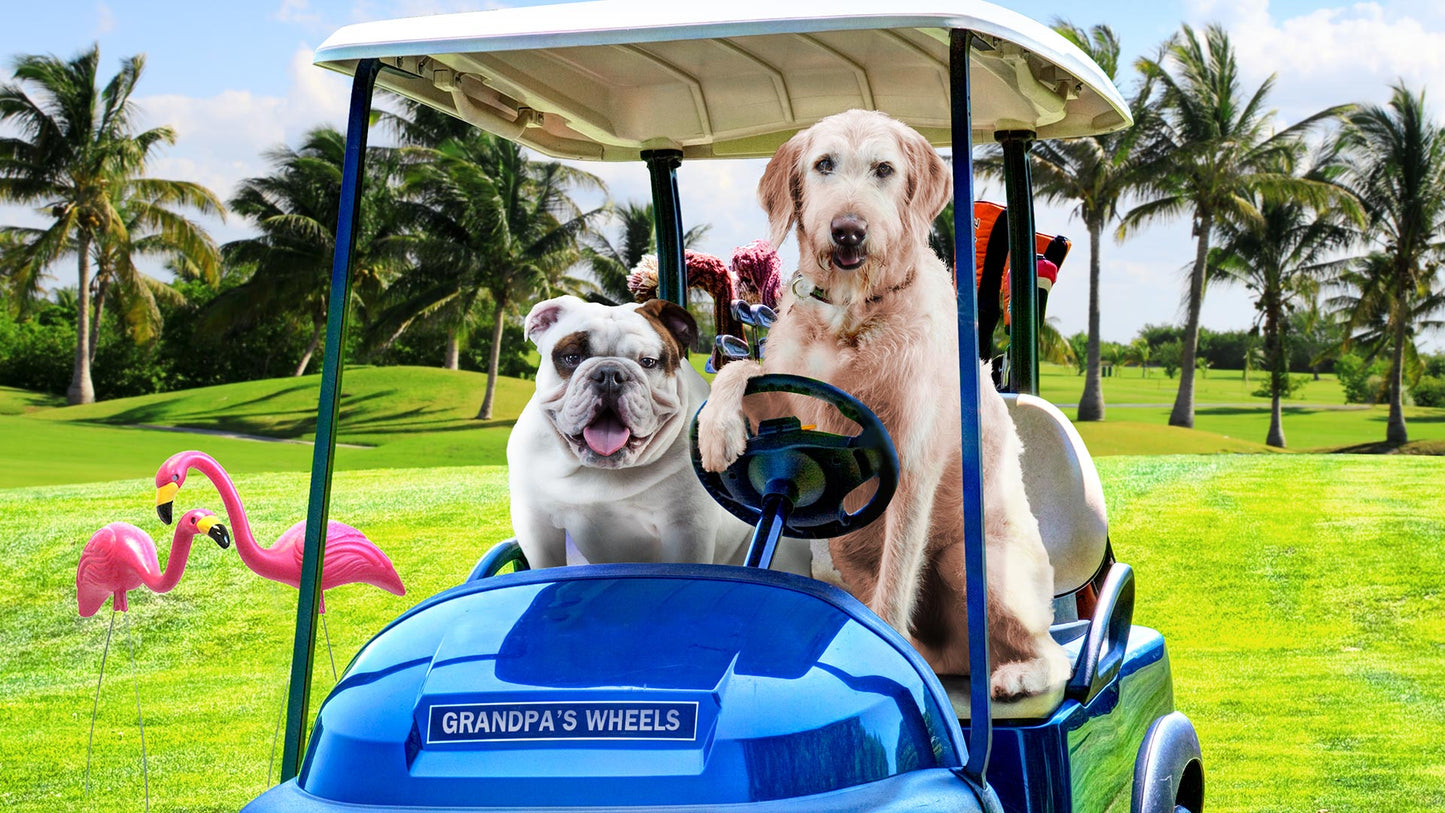 FROMM REDUCED ACTIVITY & SENIOR GOLD DOG FOOD