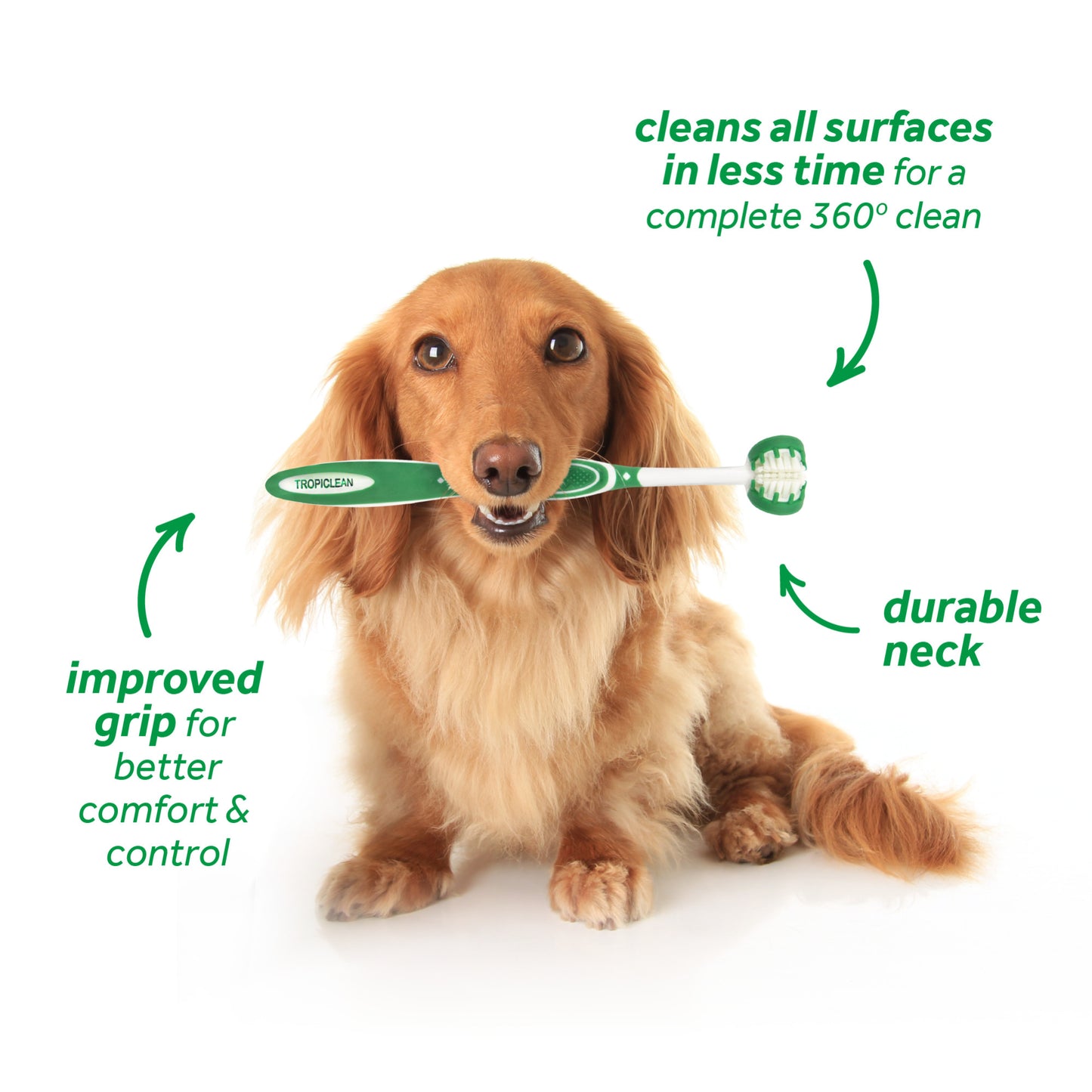 TROPICLEAN FRESH BREATH ORAL CARE KIT FOR SMALL/MEDIUM DOGS