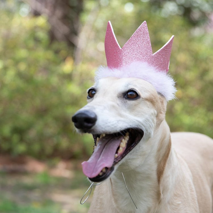 HUXLEY & KENT BIRTHDAY CROWN WITH SNUG FIT