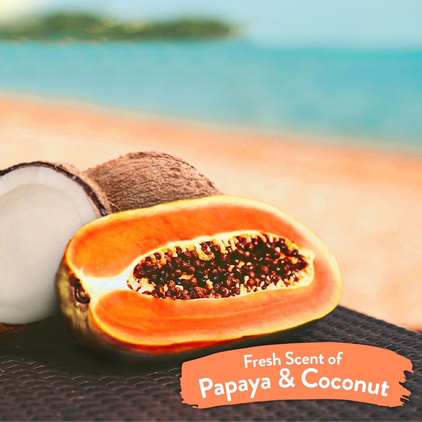 TROPICLEAN PAPAYA & COCONUT WATERLESS SHAMPOO
