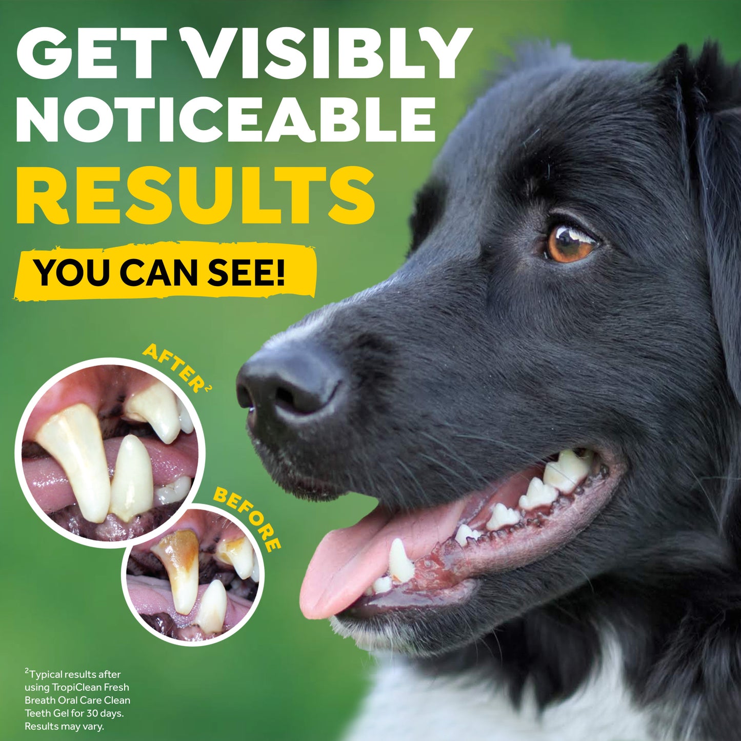 TROPICLEAN FRESH BREATH DENTAL TRIAL KIT