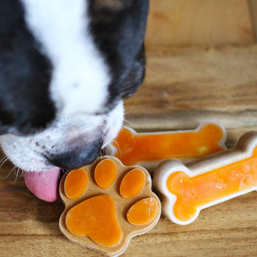BIG COUNTRY RAW FROZEN TREAT MOLD - LARGE ORANGE
