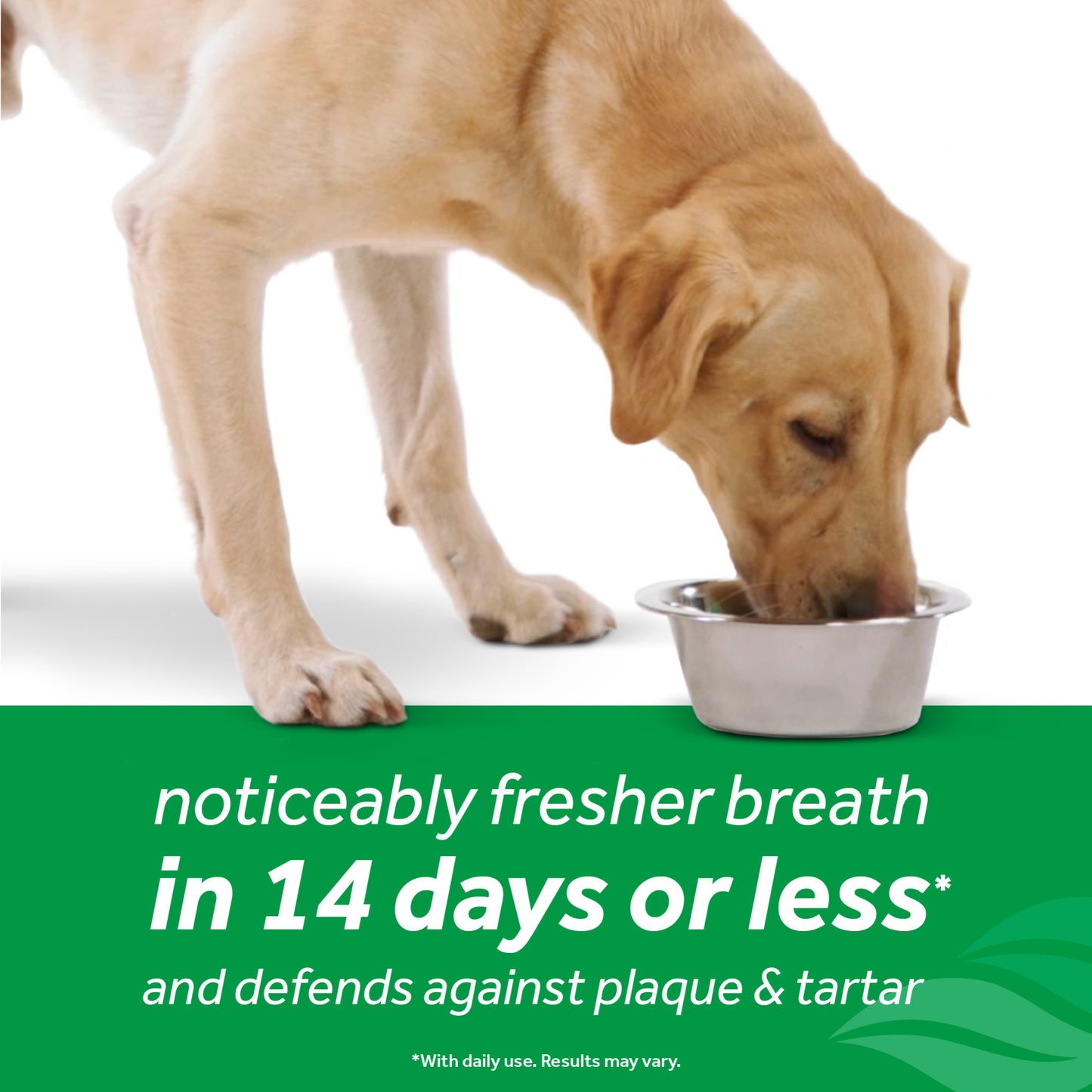 TROPICLEAN FRESH BREATH DENTAL HEALTH SOLUTION PLUS HIP & JOINT FOR DOGS