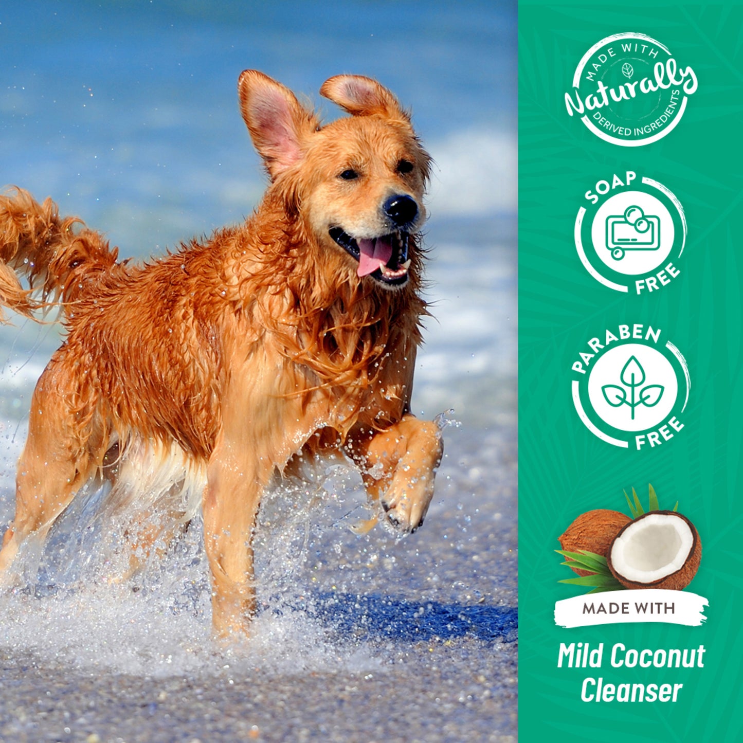 TROPICLEAN PAPAYA & COCONUT LUXURY 2-IN-1 SHAMPOO & CONDITIONER